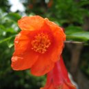 이원식당 이미지