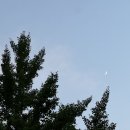 정가네 대박집 이미지