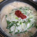 정담순대국 이미지