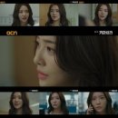 키마이라 일간스포츠