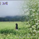 구월의 노래 이미지