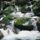 법호촌 | 제주가볼만한곳 한라산 방문자 후기 리뷰