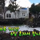 로컬제주이야기카페
