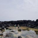 서림민박 이미지