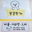 몽클똥개 이미지