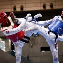 위너태권도장 이미지