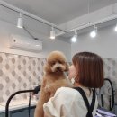 제이앤제이 그루밍 이미지