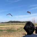 전북야생동물구조관리센터 이미지