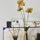 메이드앤미스튜디오 | 서귀포눈썹관리 메이드앤미 스튜디오 "내돈 내산 후기