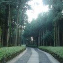 자연휴양림 입구 이미지