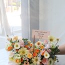 더 피올라 플라워 이미지