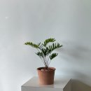 꽃바람화원