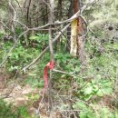 가야보건진료소 이미지