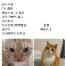 대정읍 어촌계창고 | 제주혼자여행 ｜2박3일 여행 코스 일정표, P의 여행 (?)