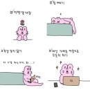 김토끼