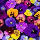 리틀가우디미술학원 이미지