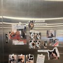 오캄 | [건대입구] 건대 빙수 맛집 건대 디저트 카페 오캄 딸기 빙수 후기 |메뉴 | 가격 | 내부