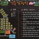 천동물놀이장 이미지