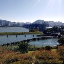 을숙도 풋살경기장 이미지