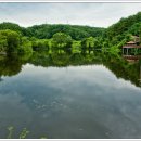 쟁골저수지 이미지