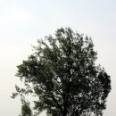 마니목장 이미지