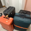 뉴욕상회 | 스위스 파리 신혼여행 준비물/필수템/커플템 추천👍🏻 - 10월 초 옷차림 후기 / 코디 추천🧡