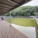 비봉 낚시터 이미지