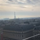 포토존 | 파리 사마리텐 백화점 루프탑 포토존 후기