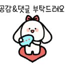 별빛호프 이미지