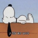 루이샵