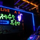 푸른밤라이브 이미지