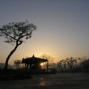 새천년생명의숲 이미지