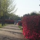 강화전쟁박물관 이미지