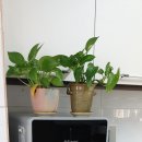 해변산책 민박 이미지