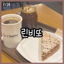 린비또 이미지