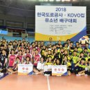 어등초교 이미지