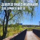 한강집생태 | 김포 한강 야생조류 생태공원 가는 길 주차장 서울 근교 산책 가볼만한 곳