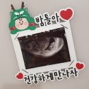 플러피모먼트