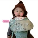 정용목장 | 상하목장 유기농아기치즈 저렴히구매! 그동안 전 호갱..?