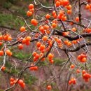 가랑비아모텔 이미지