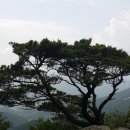 수도산자연휴양림 이미지