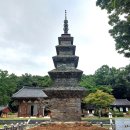 칠곡 송림사 오층전탑 | [국내여행] 대구 팔공산 여행(3) - 탑돌이 칠곡 송림사 오층 전탑 그리고 국립대구박물관 사리갖춤