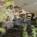 영남정신요양원 네이버블로그