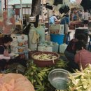 묵호항 자연산 수산물 판매시장 이미지