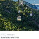 대명빌리지 버스승강장 | 홍콩 부모님 여행지 추천 옹핑360 + 택시왕복 후기(ft. 란타우섬 천단대불)