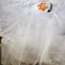 지구박스 이미지