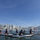 용호태권도 - 고양시 일산동구 일산로 213 | [부산/광안리]용호태권도 단체수업
