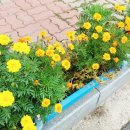 친절상회 이미지