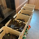 노블레스골프존 이미지