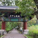 용천교 전